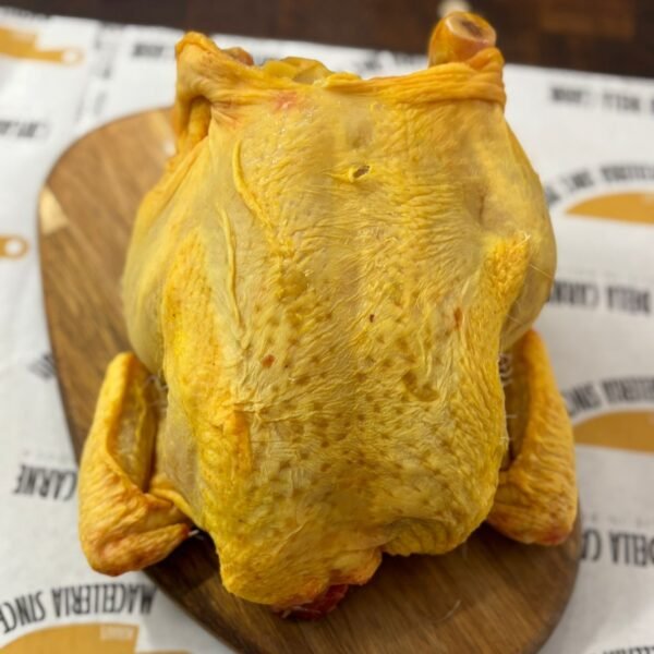 BUSTO DI POLLO